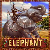 RTP Play Star ELEPHANT